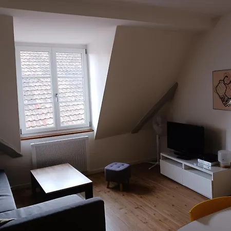 Center - Cosy Bed' N' Bredala Max Apartment Colmar