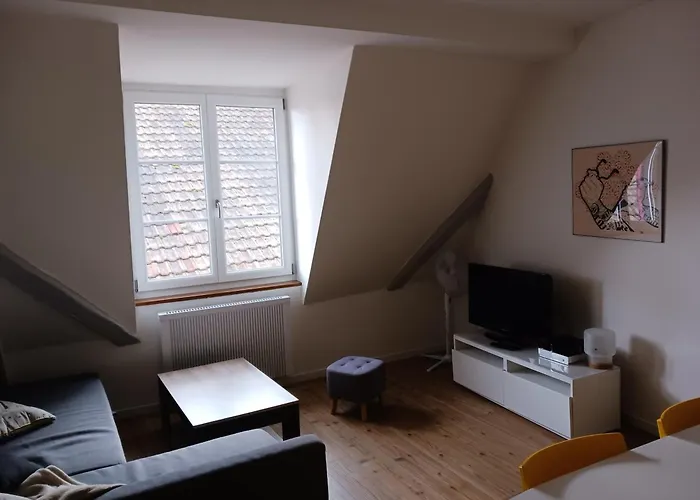 Center - Cosy Bed' N' Bredala Max Apartment Colmar